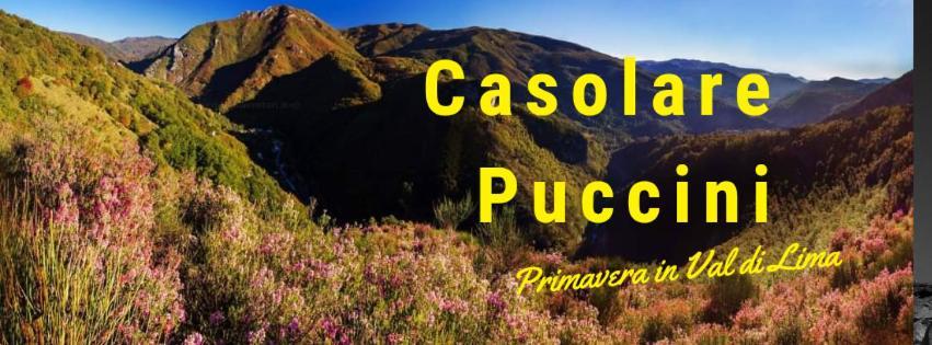 Apartmán Casolare Puccini Bagni di Lucca Exteriér fotografie